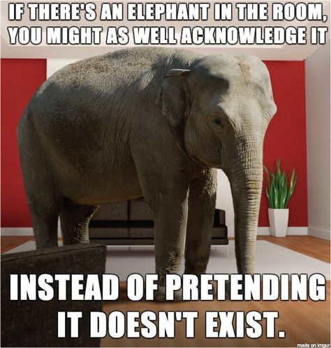 If there's an elephant in the room, you might as well acknowledge it instead of pretending it doesn't exist. Elephant In The Room Quotes, Recycle Organization, Right Meme, Room Quotes, The Elephant In The Room, Elephant In The Room, Elephant Room, Hate Men, Prank Videos