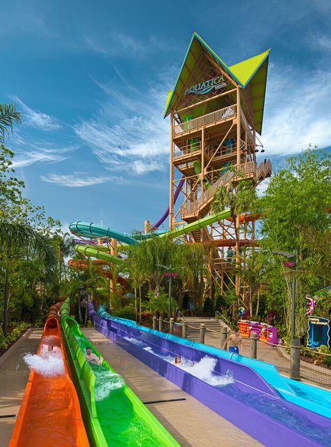 Now Open: Sea World Aquatica's Ihu’s Breakaway Falls Water Park Tips, Aquatica Orlando, Water Park Rides, Orlando Florida Vacation, Water Theme Park, Best Amusement Parks, Taman Air, Busch Gardens Tampa, Visit Orlando