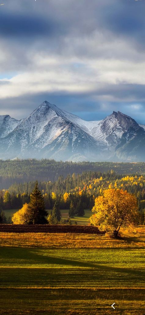 Tatra Mountains, Carpathian Mountains, Natural Playground, Smartphone Wallpaper, Natural Garden, Beautiful Photos Of Nature, Summer Sports, Lynx, Eastern Europe