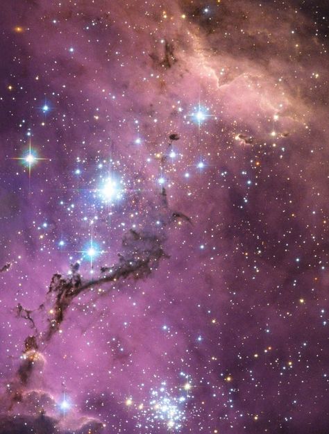 Carl Sagan Cosmos, Magellanic Cloud, Our Galaxy, Floating In Space, Space Stuff, Hubble Space, Slow Dance, Space Pictures, Hubble Space Telescope