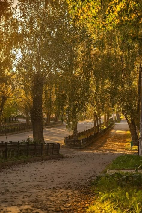 Autumn Leaves Falling, Leaves Falling, Fire Places, Fall Mood, Simple Aesthetic, Autumn Scenery, Better Days, Best Seasons, Cozy Autumn