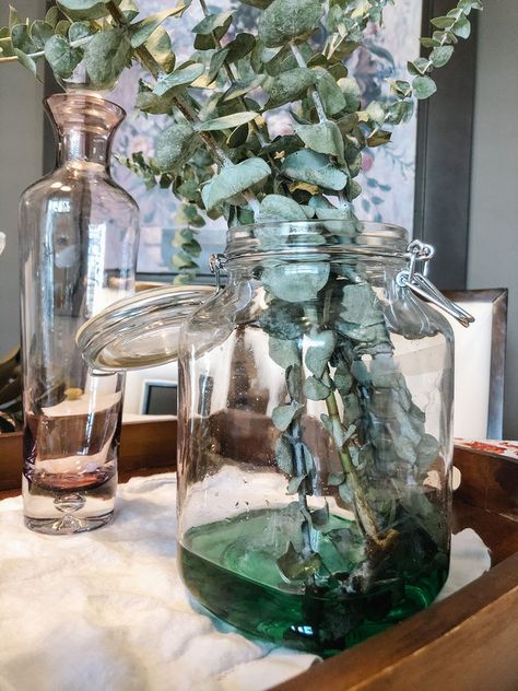 Preserving Fresh Eucalyptus How To Preserve Eucalyptus, Drying Eucalyptus Diy, Eucalyptus Drying, How To Dry Eucalyptus, Preserving Eucalyptus, Georgia Gardening, Eucalyptus Diy, Natural Gardening, Homemade Bubbles