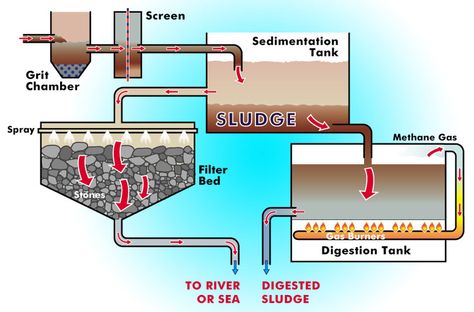 Sewage water Planners Printables, Sewage System, Engineering Projects, Fish Farming, Surface Water, Earthship, Reverse Osmosis, Science Classroom, Environmental Science