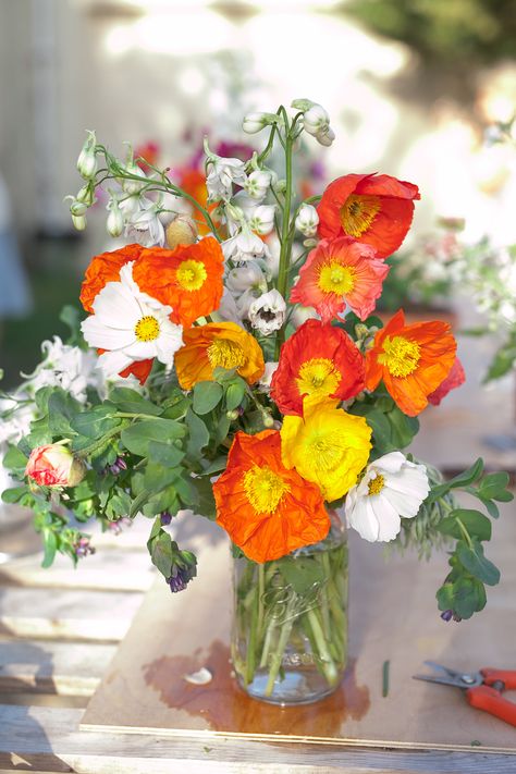 Flower Picking, Slow Flower, Yellow Photography, Orange Poppies, Fancy Flowers, Wedding Reception Flowers, Flower Picks, Flowers In Jars, Party Photography