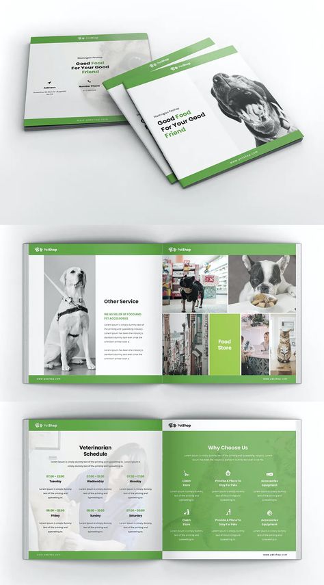 Pet Shop Square Brochure Template INDD - 24 pages Food Catalogue, Food Catalog, Square Brochures, Best Advertising, Catalog Cover, Visual Board, Catalog Design, Book Layout, Brochure Design Template