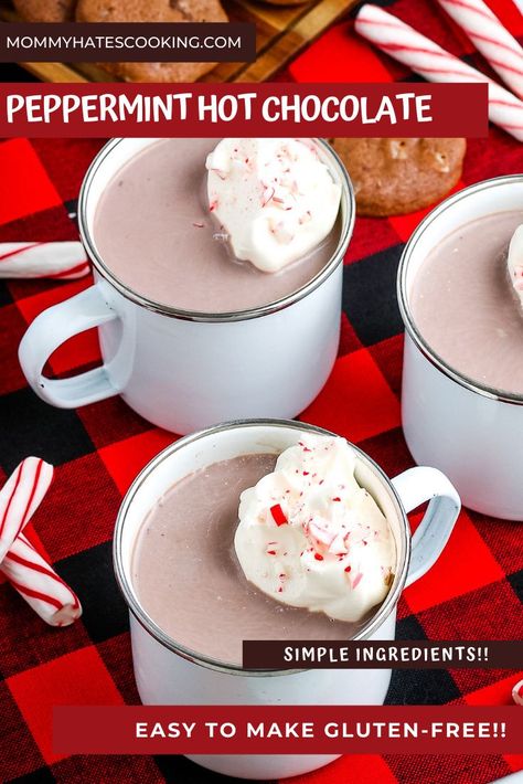 Peppermint Hot Chocolate Mix, Peppermint Hot Chocolate Recipe, Hot Chocolate Mix Recipe, Peppermint Syrup, Homemade Hot Chocolate Mix, Peppermint Hot Cocoa, Hot Chocolate Gifts, Frozen Hot Chocolate, Hot Chocolate Cookies