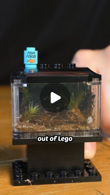 Ben Newell on Instagram: "I've always wanted to do this...

A much bigger terrarium and a much longer video is en route 😊 

#terrarium #lego" Lego Terrarium, Lego Videos, Food Out, Terrarium, Lego, On Instagram, Instagram