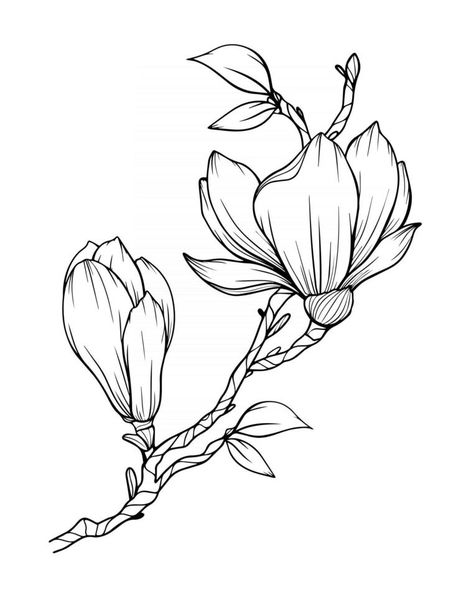 Magnolia Flower Outline Magnolia LIne Art Line Drawing Magnolia Flowers Drawings, Magnolia Ink Drawing, Magnolia Flower Design, Magnolia Blossom Drawing, Drawing Magnolia Flowers, Magnolia Flower Sketch, Magnolia Art Drawing, Magnolia Embroidery Pattern, Magnolia Branch Drawing