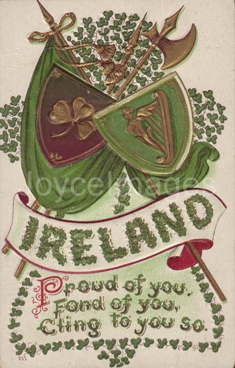 Joyce Aesthetic, Ulysses James Joyce, Flag Aesthetic, Irish Toasts, St Patricks Day Pictures, Erin Go Bragh, Irish Roots, Green Shamrock, Irish Flag