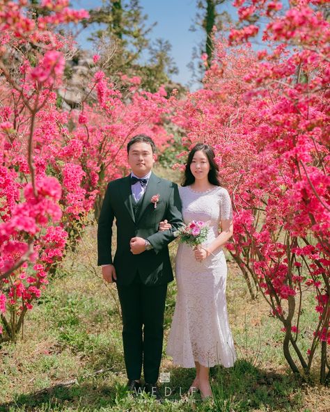 JEJU ISLAND OUTDOOR PRE-WEDDING PHOTOGRAPHYPRICES & PACKAGES Jeju Wedding, Happy Anniversary Photos, Wedding Anniversary Wishes, Jeju Island, Prewedding Photography, Anniversary Photos, Happy Anniversary, Wedding Pictures, Photo Studio