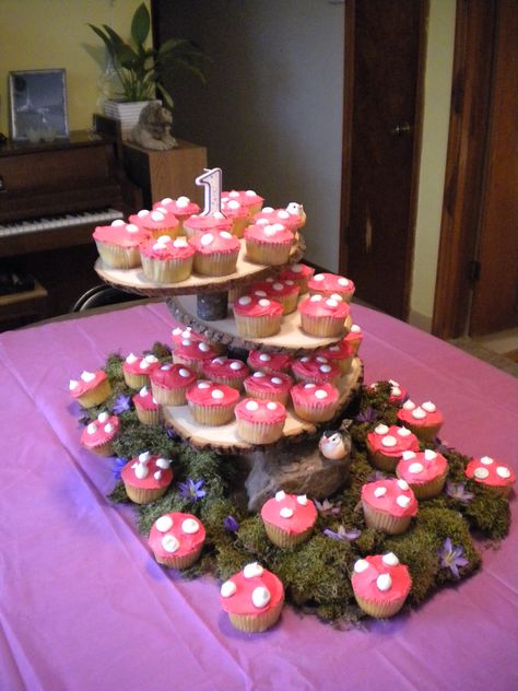 Lottie's one year cupcakes and stand. Fairy First Birthday Cupcakes, Fairy Garden Themed Cupcakes, Pink Mushroom Cupcakes, Cupcake Wars Display Ideas, Fairy Cupcakes For Girls Birthday, Fairy Cupcakes Enchanted, Mushroom Cupcakes, Enchanted Forest Birthday Party, Baby Shower Cupcakes For Girls