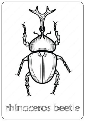 Animals Rhinoceros Beetle Coloring Pages Book 33 Rhino Beetle Drawing, Rhinoceros Beetle Tattoo, Beetle Drawing Simple, Beetle Outline, Rhinoceros Beetle Drawing, Beetle Line Drawing, Beetle Coloring Page, Beetle Cartoon, Horned Beetle