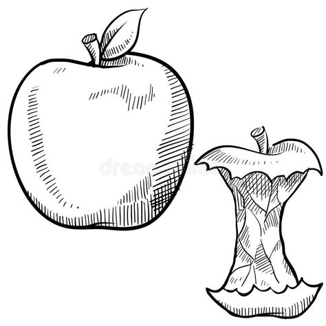 Apple and apple core sketch. Doodle style apple and apple core vector illustrati #Sponsored , #AD, #AFFILIATE, #apple, #sketch, #vector, #core Apple Core Illustration, Eaten Apple Tattoo, Eaten Apple Drawing, Bitten Apple Drawing, Rotten Apple Drawing, Apple Core Drawing, Apple Drawing Simple, Rotten Apple Tattoo, Apple Core Tattoo