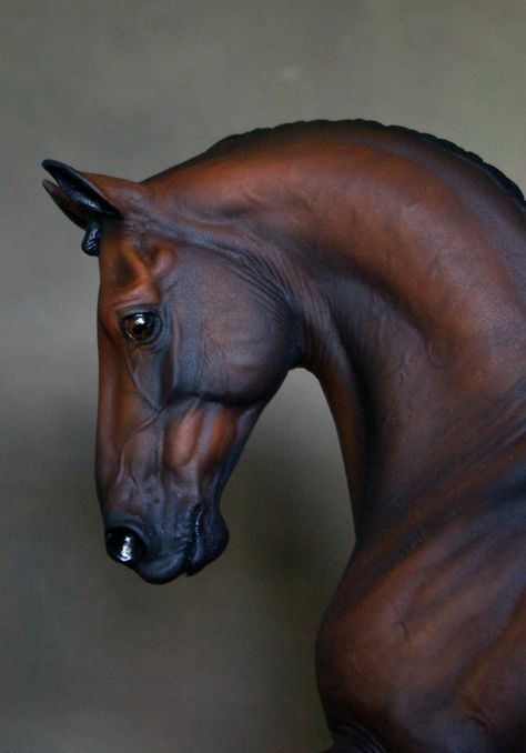 Kate Schick - McDermott David Horse Head Reference, Horse Head Profile, Horse Profile, Horse Anatomy, Horse Inspiration, Eagle Art, African Art Paintings, Horse Face, Most Beautiful Animals