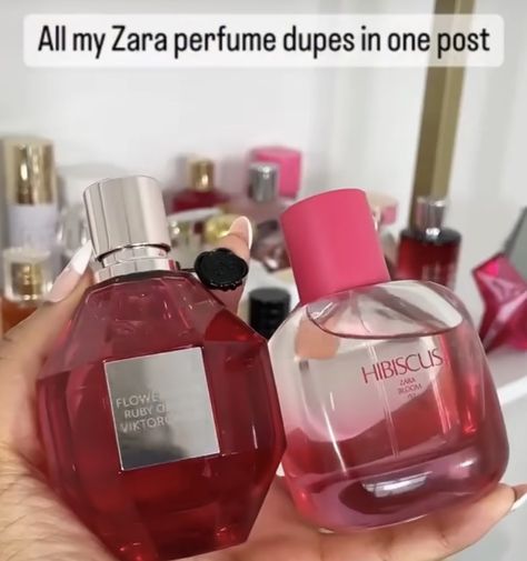 Zara Hibiscus, Hibiscus Perfume, Flower Bomb, Sphynx, Smell Good, Beauty Tips, Hibiscus, Scents, Lotus