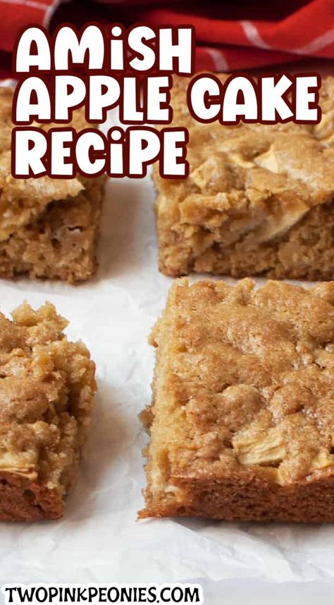 Amish Apple Cake, Snack Cake Recipe, Mennonite Recipes, Easy Apple Cake, Apple Cake Recipe, Apple Recipes Easy, Applesauce Cake, Apple Cake Recipes, Amish Recipes