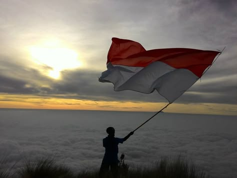 17 Agustus 2015 lalu tepat 70 tahun Indonesia, Negeri kita tercinta ini berusia 70 tahun merdeka dari penjajahan. Banyak orang larut dalam perayaan hari kemerdekaan ini sebagai momentum untuk menumbuhkan rasa nasionalis serta patriotism kebangsaaan dengan cara mereka masing – masing. Upacara pengibaran bendera Merah Putih salah satu ‘kegiatan’ yang sekiranya menjadi kegiatan pengingat bagi kita semua bagaimana bangsa kita bisa lepas dari penjajahan. Working Girl Movie, Indonesian Flag, 17 Agustus, Indonesian Art, Motion Design Video, Aesthetic Boy, Black Aesthetic Wallpaper, Girly Pictures, Homescreen Wallpaper