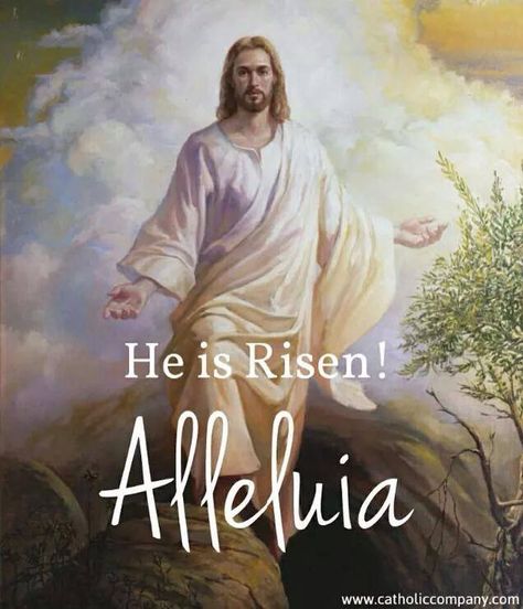 He is Risen! Alleluia :-) Easter Images Jesus, Calling All Angels, Happy Easter Quotes, Risen Lord, Jesus Is Risen, Jesus Is Alive, Easter Quotes, Christ Is Risen, Easter Religious