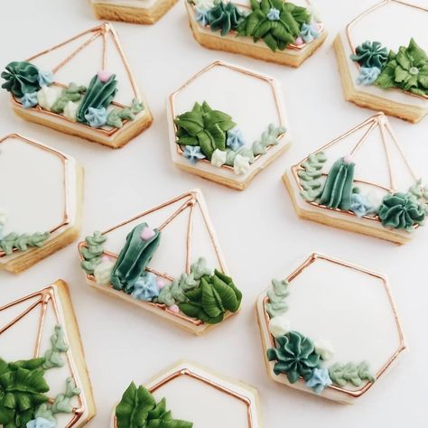 Succulent Decorated Cookies, Succulent Cookies Royal Icing, Plant Themed Desserts, Succulent Cookies Decorated, Succulent Macarons, Succulents Cookies, Succulent Sugar Cookies, Plant Cookies, Succulent Cookies