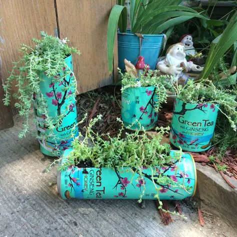 15 Old Tea Tins Turned Into Fabulous Indoor Plant Homes Diy Arizona Green Tea, Things To Do With Arizona Tea Cans, Arizona Tea Can Diy, Arizona Can Crafts, Arizona Green Tea Aesthetic, Arizona Cans Diy, Arizona Tea Aesthetic, Arizona Drink, Arizona Tea Can