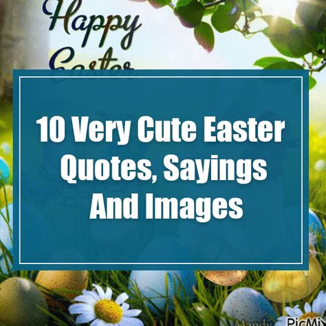 Cute Easter Sayings, Easter Greetings Quotes, Easter Sayings For Cards, Easter Sayings Quotes, Funny Easter Sayings, Funny Easter Quotes, Cute Easter Quotes, Easter Sayings, Easter Card Sayings