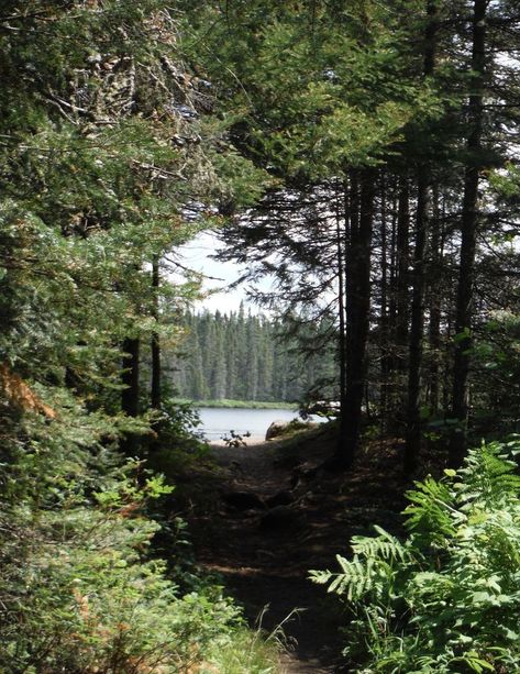 Boundary Waters Canoe Area, Heart In Nature, Boundary Waters, Nature Valley, Camping Aesthetic, Road Trip Adventure, Nature Adventure, Fall Travel, Green Space