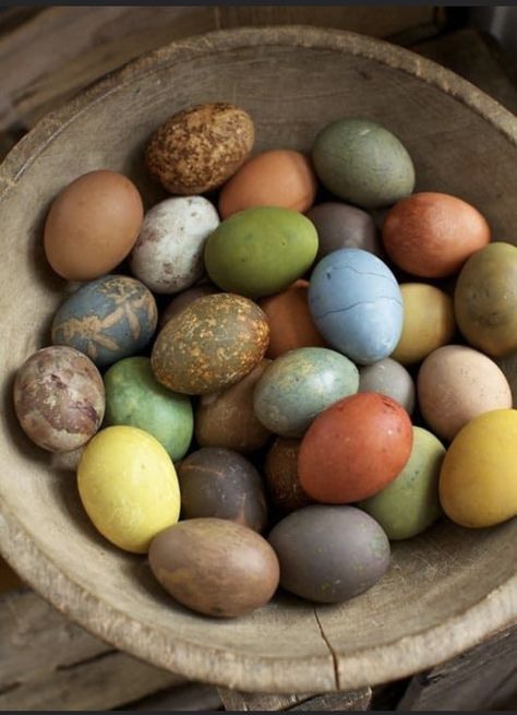 Eggs Image, Primitive Easter, Colored Eggs, Easter Egg Dye, Peter Cottontail, Egg Crafts, Spring Equinox, Egg Art, Coloring Eggs