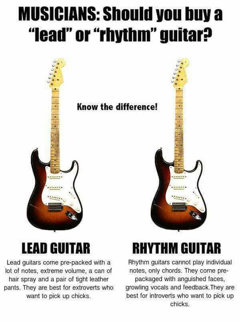 Lead or rhythm?  #Guitar #humor Guitar Memes Humor, Guitar Humor, Guitar Quotes, Electric Guitar Lessons, Rhythm Guitar, Funny Guitar, Trening Sztuk Walki, Musician Humor, Lead Guitar