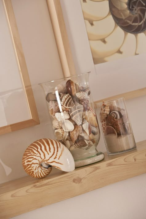 How to Make Seashells and Sand in a Jar. Take a bit of your seaside vacation home by making a "beach in a jar" craft. Use your seashell collection, along with white or golden sand, to create eye-catching home decor. A seashell- and sand-filled jar is an inexpensive way to commemorate a family beach vacation or a romantic honeymoon. Not only will the craft be more affordable than a store-bought souvenir, it will be more memorable and sentimental as well. Seashell Display, Shell Display, Shells And Sand, Shell Crafts Diy, Sea Shell Decor, Beach Diy, Shell Decor, Sand Art, Seashell Crafts