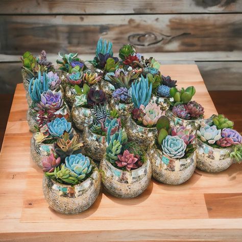 Landscape Centerpiece Ideas, Succulent And Flower Centerpiece, Succulent Centerpieces Party, Succulent Centerpiece Wedding, Succulents Centerpiece, Disco Rodeo, Mirror Centerpiece, Eucalyptus Centerpiece, Succulent Wedding Centerpieces