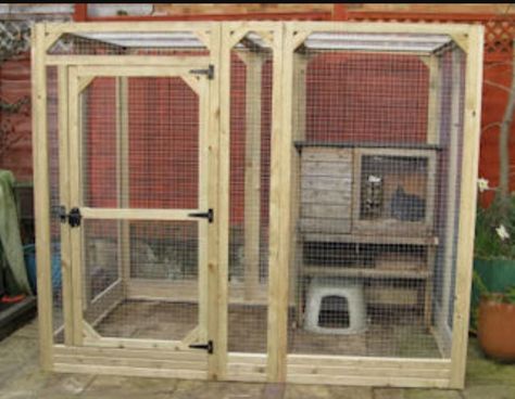 Aviary Idea Outdoor Rabbit, Rabbit Enclosure, Bunny Hutch, Rabbit House, Cat Pen, Indoor Rabbit, Bunny Care, Rabbit Run, Cat Sanctuary