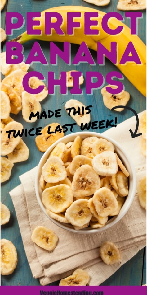 dehydrate some rather perfect looking banana chips. Dehydrating Bananas, Dehydrate Bananas, Dehydrated Banana Chips, Homemade Banana Chips, Dehydrator Recipes Fruit, Banana Chips Recipe, Food Dehydrator Recipes, Sweet Potato Dog Chews, Make Ahead Food