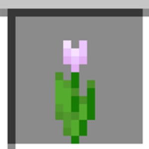 minecraft pink tulip Minecraft Flowers, Pink Tulips, Pixel Art, Tulips, Minecraft, Flowers, Pink, Art