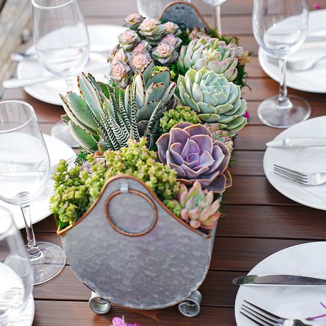 Succulent table decor