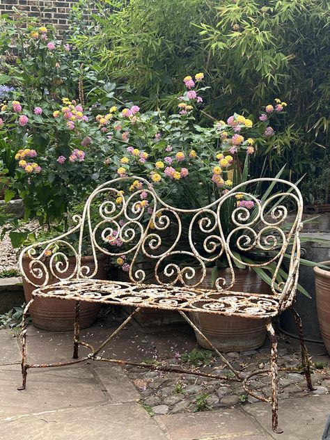 Howe London, Wrought Iron Bench, Iron Bench, Victorian Garden, Metal Bench, Mythical Animal, Deck Garden, Acanthus Leaf, Garden Bench