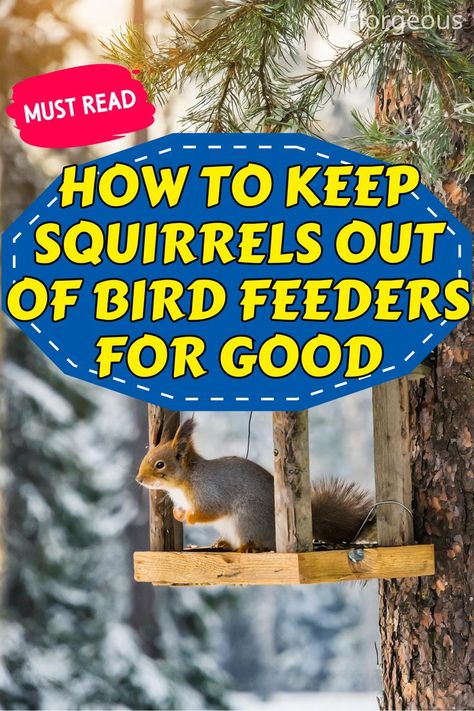 Keep Squirrels Out of Bird Feeders Squirrel Proof Garden, Get Rid Of Squirrels, Irish Spring Soap, Backyard Birds Watching, Squirrel Baffle, Backyard Birds Feeders, Squirrel Feeders, Bird Feeder Poles, Squirrel Proof Bird Feeders