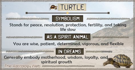 Turtle Meaning and Symbolism | The Astrology Web Turtle Spirit Animal Meaning, Sea Turtle Spirit Animal, Sea Turtle Symbolism, Turtle Meaning, Turtle Symbolism, Turtle Spirit Animal, Animal Totem Spirit Guides, Spirit Animal Meaning, Animal Quiz