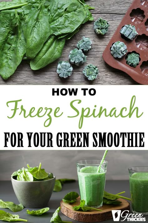 Keep your leafy greens fresh by freezing them for your smoothies and recipes.     Find out how to freeze spinach 3 different ways.     https://www.greenthickies.com/how-to-freeze-spinach-for-your-green-smoothie/ How To Freeze Spinach For Smoothies, Spinach Green Smoothie, How To Freeze Fruit For Smoothies, Smoothie Freezer Prep, How To Freeze Spinach, Freeze Spinach For Smoothies, Spinach In Smoothies, Frozen Spinach Smoothie, Blenderjet Recipes