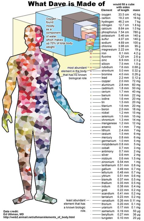 Elements Dave is made of. Teaching Chemistry, High School Science, Middle School Science, Body Systems, Science Teacher, Anatomy And Physiology, Science Classroom, Biochemistry, Science Education