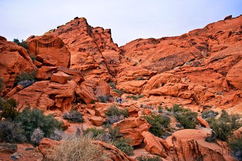 Red rock canyon national conservation area is one of the finest rock climbing areas in the world. Description from myhomesdesigns.info. I searched for this on bing.com/images Mammoth Cave Kentucky, Red Rock Canyon Las Vegas, Red Rock Canyon National Conservation Area, Las Vegas With Kids, Red Rock Canyon, National Parks Usa, Landscape Scenery, Beautiful Places In The World, Red Rock