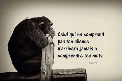 Le silence et les mots Citation Silence, Funny Pix, French Quotes, Life Words, Carl Jung, Timeline Photos, Great Quotes, Favorite Quotes, Book Worth Reading