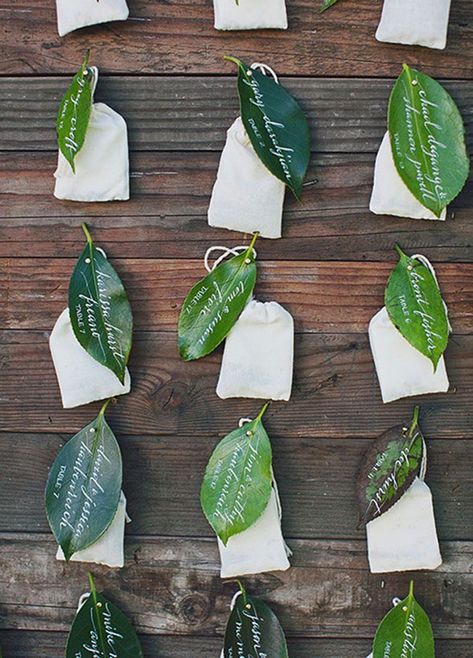 Southern Wedding Flowers, Wedding Photo Display, Wedding Reception Ideas, Stationery Inspiration, 카드 디자인, Magnolia Leaves, 100 Layer Cake, Southern Weddings, Botanical Wedding