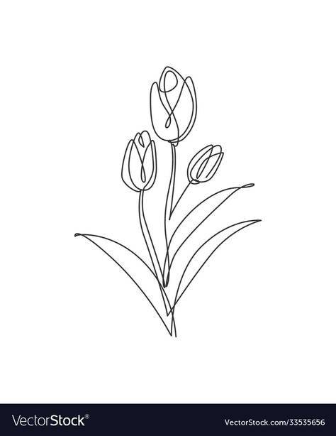 Tulip Line Drawing, Flower Vector Illustration, Line Graphic, Illustration Minimal, Tulip Tattoo, Single Line Tattoo, Flower Line Drawings, Flower Vector, Single Line Drawing