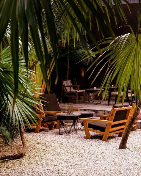 Back Bar, In The Jungle, Tulum, Have You Ever, Seating Area, Sun Lounger, In The Middle, The Middle, A Table