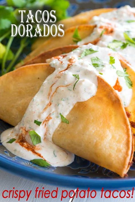 Fried Potato Tacos, Fried Tacos, Papa Recipe, Tacos Dorados, Authentic Mexican Recipes, Fried Potato, Contacts Lenses, Potato Tacos, Mexican Dish