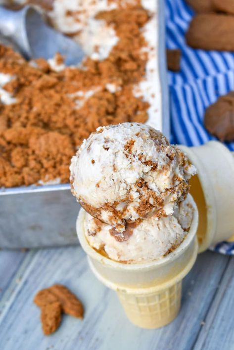 Cookie Butter Ice Cream (No Churn Recipe) Cookie Butter Ice Cream, Trader Joes Cookie Butter, Ice Cream No Churn, Condensed Milk Cookies, Churn Ice Cream, Gourmet Ice Cream, Butter Ice Cream, Ice Cream Mixture, Ice Cream Base