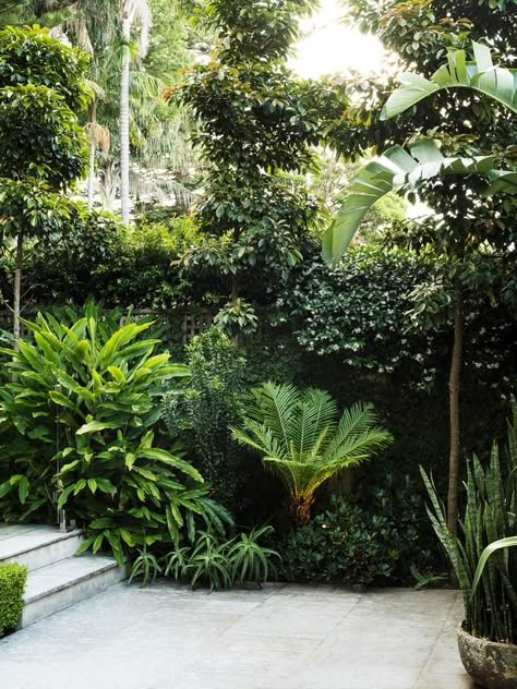 Tropical garden design Bali Landscape, Tropical Planting, Trees For Front Yard, Tropical Landscape Design, Tropical Garden Ideas, Palm Garden, Tropical Garden Design, Jungle Gardens, Tropical Backyard