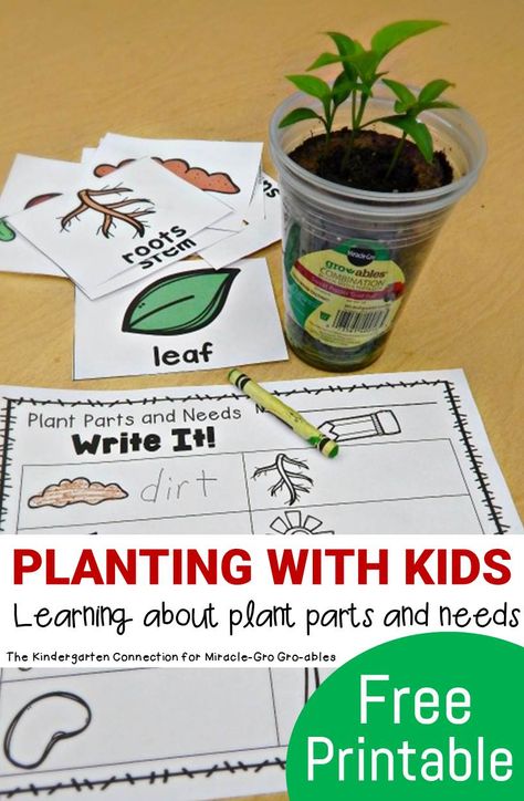 Make planting with kids fun and hands on, while learning about plant parts and needs with this fun and free writing center! #GroablesProject #ad Plants Kindergarten, Plant Lessons, Kids Writing Activities, Plant Parts, Plants Unit, Plant Activities, 1st Grade Science, About Plants, Plant Life Cycle