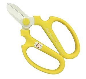 Best floral shears / floral scissors for hobby florists or professional! Flower Scissors, Scissors Hand, Yellow Lime, Glass Tea Cups, Japanese Nails, Chelsea Flower Show, Hand Shapes, Manicure Tools, Flower Show