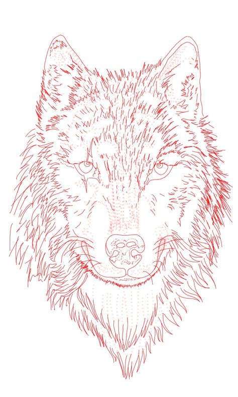 Wolf Tattoo Stencil Design, Wolf Tattoo Outline, Wolf Print Tattoo, Tattoo Studio Interior, Family First Tattoo, Floral Back Tattoos, Viking Tattoo Symbol, Basic Tattoos, Cherub Tattoo